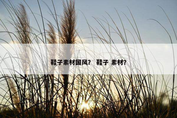 鞋子素材国风？ 鞋子 素材？