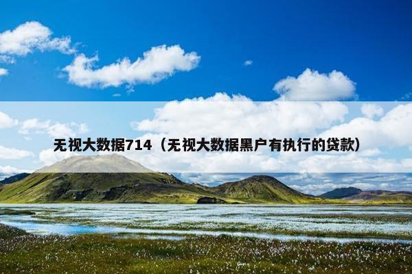 无视大数据714（无视大数据黑户有执行的贷款）