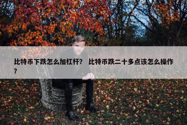 比特币下跌怎么加杠杆？ 比特币跌二十多点该怎么操作？