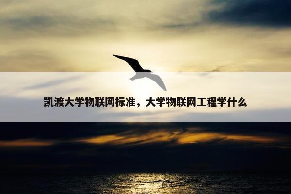 凯渡大学物联网标准，大学物联网工程学什么