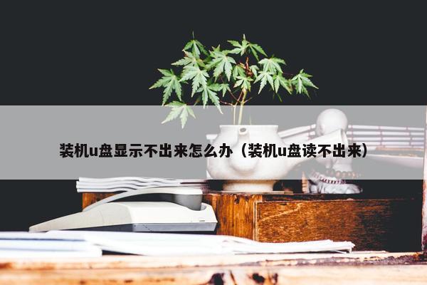 装机u盘显示不出来怎么办（装机u盘读不出来）