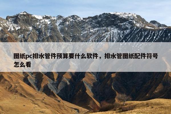 图纸pc排水管件预算要什么软件，排水管图纸配件符号怎么看