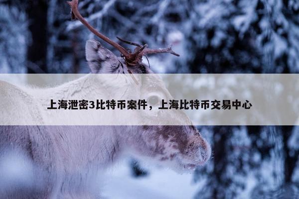 上海泄密3比特币案件，上海比特币交易中心