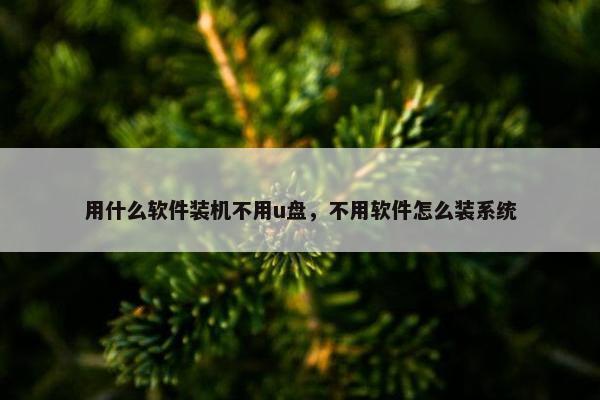 用什么软件装机不用u盘，不用软件怎么装系统