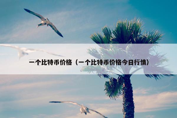 一个比特币价格（一个比特币价格今日行情）