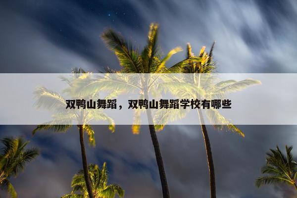 双鸭山舞蹈，双鸭山舞蹈学校有哪些