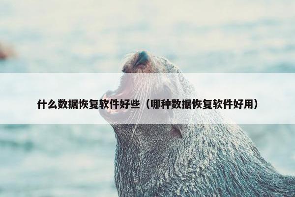 什么数据恢复软件好些（哪种数据恢复软件好用）