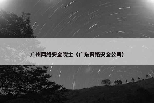 广州网络安全院士（广东网络安全公司）
