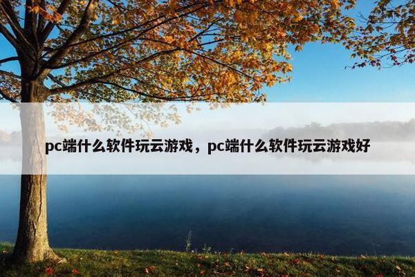 pc端什么软件玩云游戏，pc端什么软件玩云游戏好