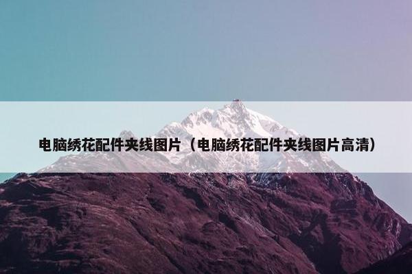 电脑绣花配件夹线图片（电脑绣花配件夹线图片高清）