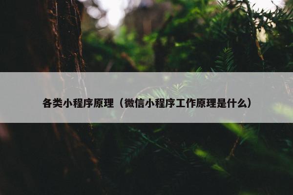 各类小程序原理（微信小程序工作原理是什么）