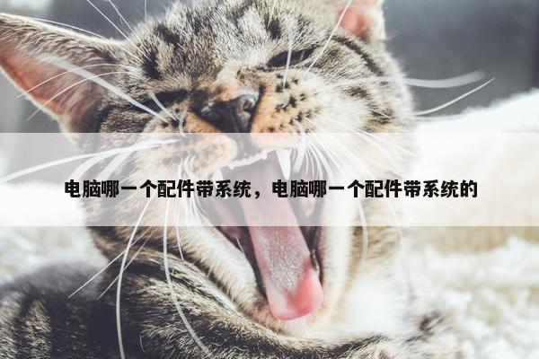 电脑哪一个配件带系统，电脑哪一个配件带系统的