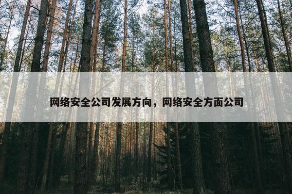 网络安全公司发展方向，网络安全方面公司