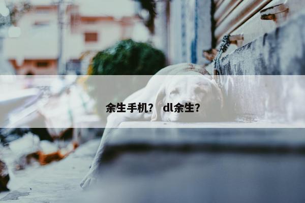 余生手机？ dl余生？