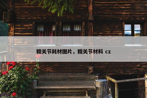 髋关节耗材图片，髋关节材料 cz