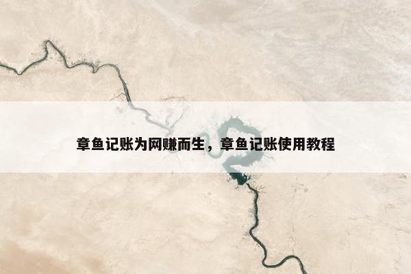 章鱼记账为网赚而生，章鱼记账使用教程