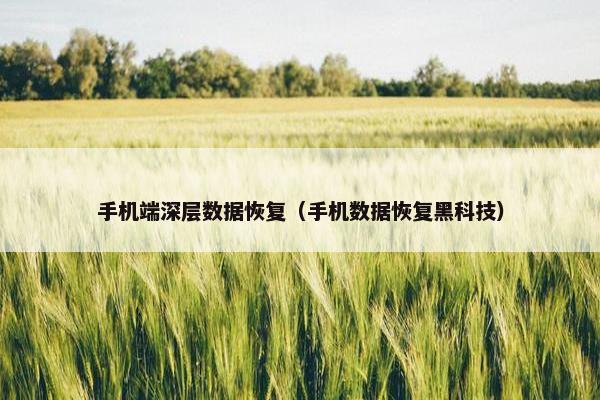 手机端深层数据恢复（手机数据恢复黑科技）
