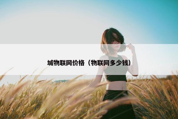 城物联网价格（物联网多少钱）