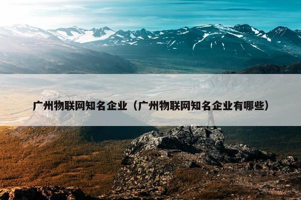 广州物联网知名企业（广州物联网知名企业有哪些）