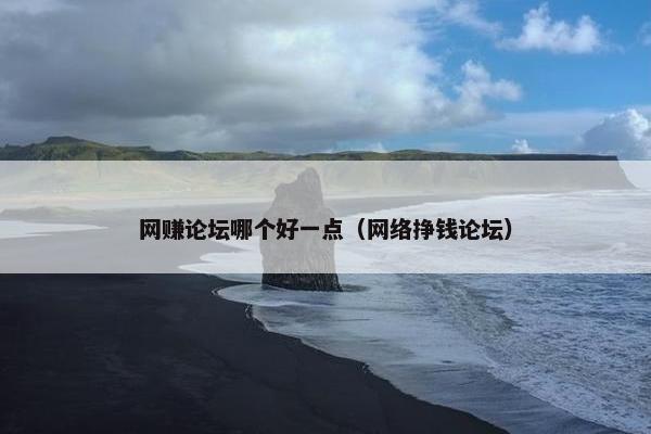 网赚论坛哪个好一点（网络挣钱论坛）