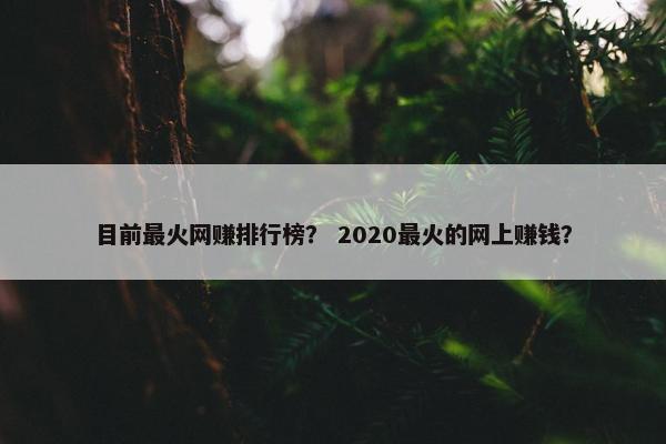 目前最火网赚排行榜？ 2020最火的网上赚钱？