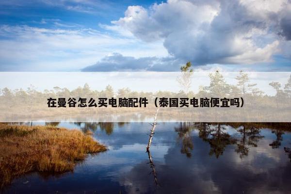 在曼谷怎么买电脑配件（泰国买电脑便宜吗）