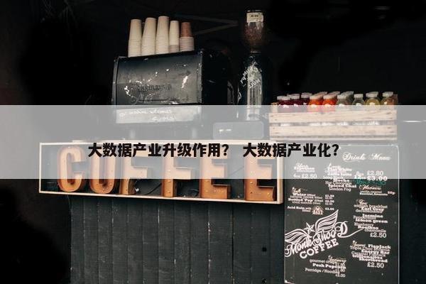 大数据产业升级作用？ 大数据产业化？