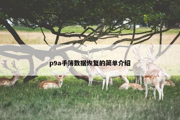 p9a手簿数据恢复的简单介绍