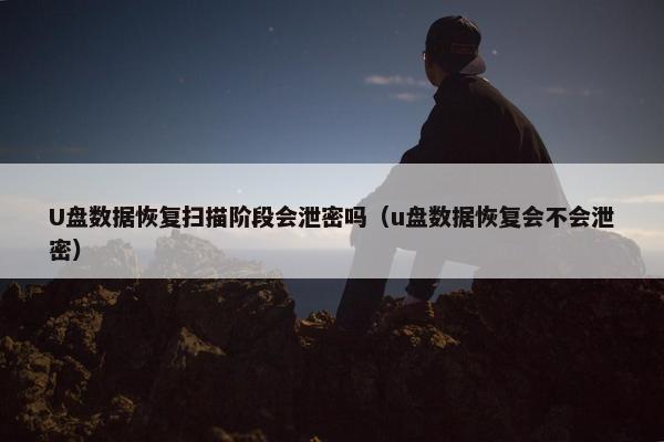 U盘数据恢复扫描阶段会泄密吗（u盘数据恢复会不会泄密）