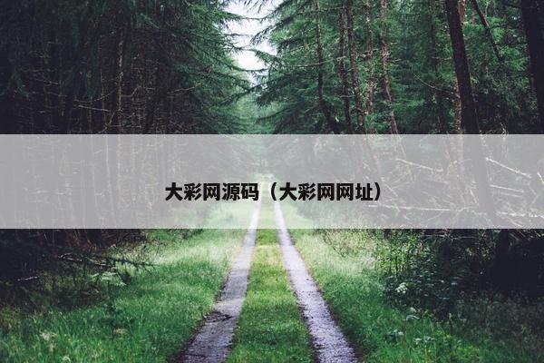 大彩网源码（大彩网网址）