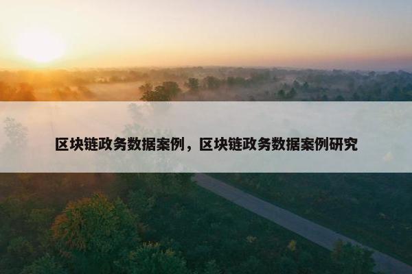 区块链政务数据案例，区块链政务数据案例研究
