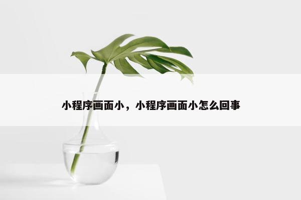 小程序画面小，小程序画面小怎么回事