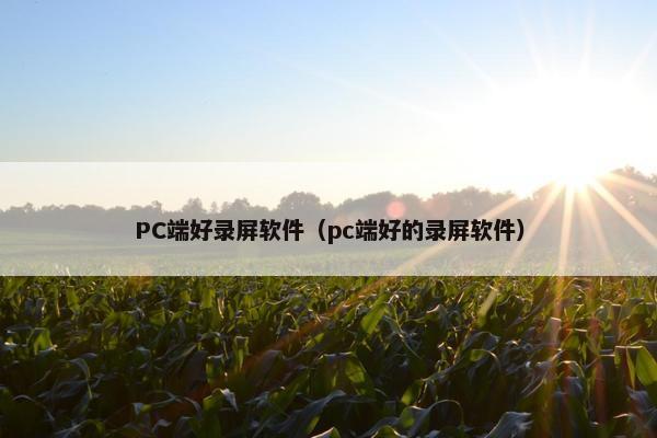 PC端好录屏软件（pc端好的录屏软件）