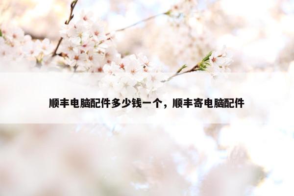 顺丰电脑配件多少钱一个，顺丰寄电脑配件