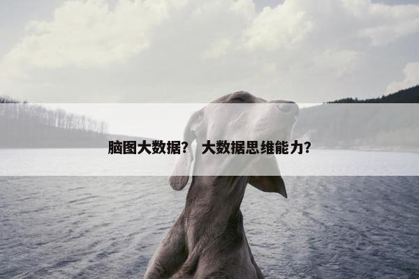 脑图大数据？ 大数据思维能力？