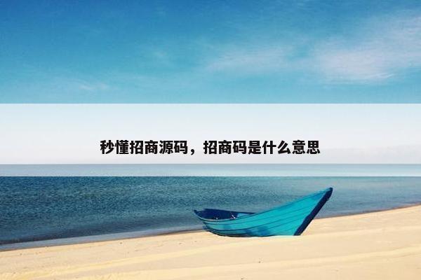 秒懂招商源码，招商码是什么意思