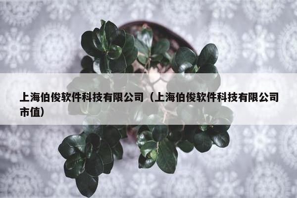 上海伯俊软件科技有限公司（上海伯俊软件科技有限公司市值）