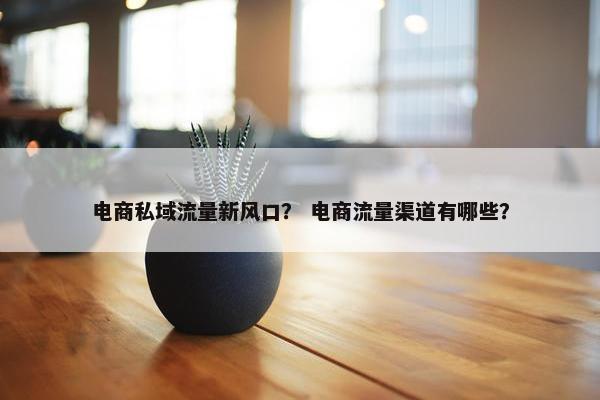 电商私域流量新风口？ 电商流量渠道有哪些？