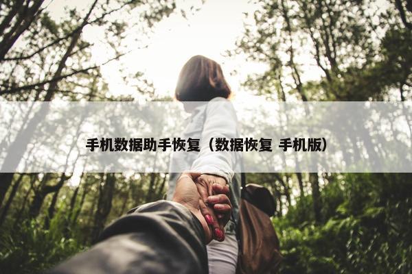手机数据助手恢复（数据恢复 手机版）