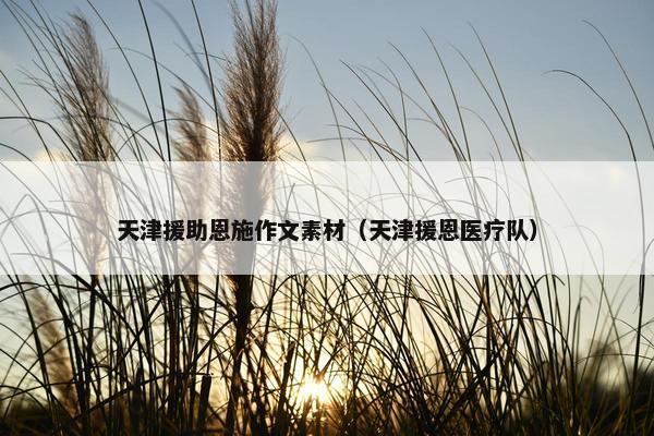 天津援助恩施作文素材（天津援恩医疗队）