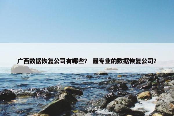 广西数据恢复公司有哪些？ 最专业的数据恢复公司？
