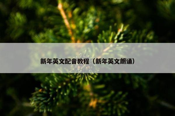 新年英文配音教程（新年英文朗诵）
