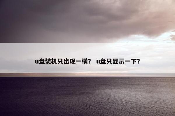 u盘装机只出现一横？ u盘只显示一下？