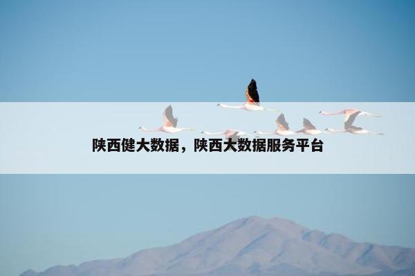 陕西健大数据，陕西大数据服务平台