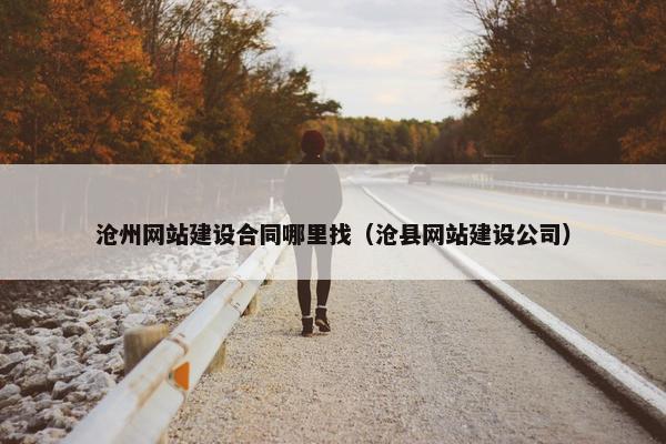 沧州网站建设合同哪里找（沧县网站建设公司）