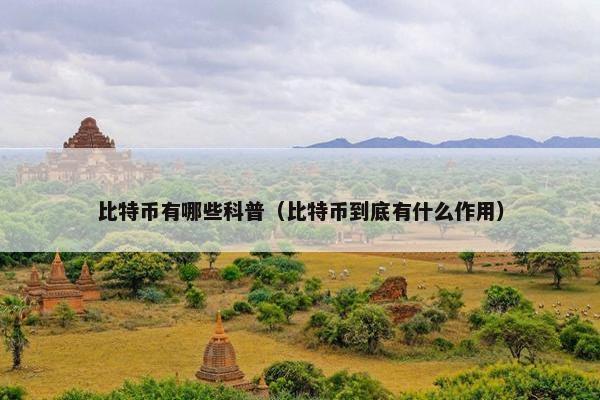 比特币有哪些科普（比特币到底有什么作用）
