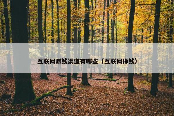 互联网赚钱渠道有哪些（互联网挣钱）