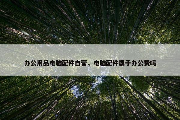 办公用品电脑配件自营，电脑配件属于办公费吗