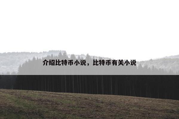 介绍比特币小说，比特币有关小说