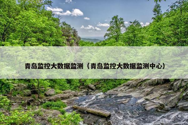 青岛监控大数据监测（青岛监控大数据监测中心）